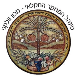 מכון וולקני